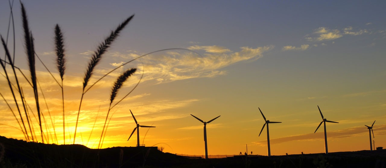 New wind companies will arrive in Matamoros