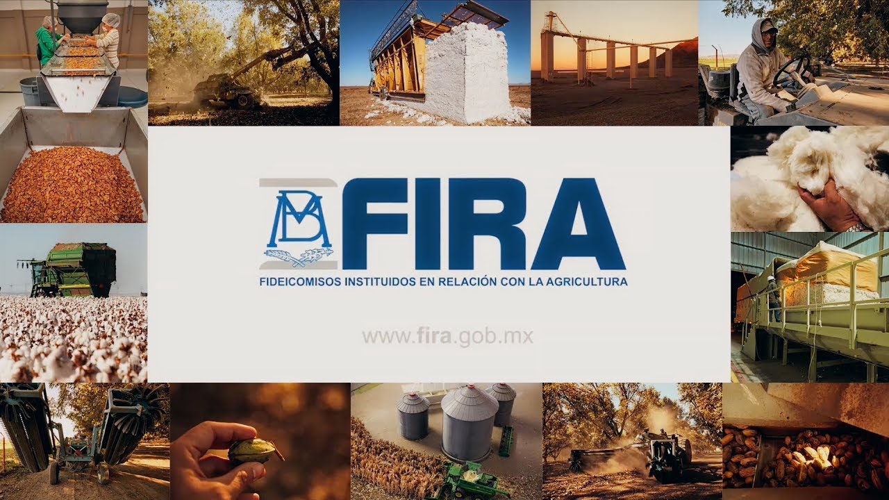 FIRA will offer credit to food industry producers