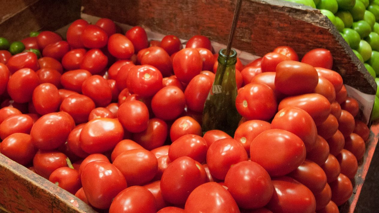 Mexico and the U.S. close agreement on the Mexican tomato