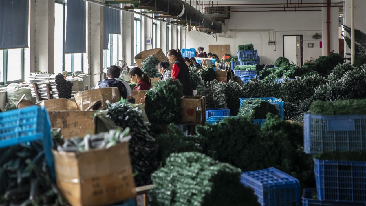 Christmas accelerates plants’ production in Ciudad Juarez