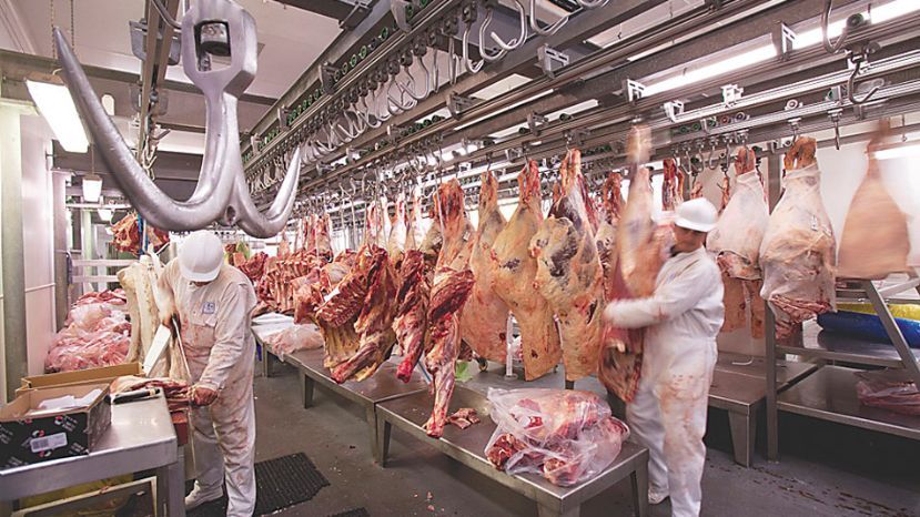 Chihuahua increases its meat production in the first half of the year