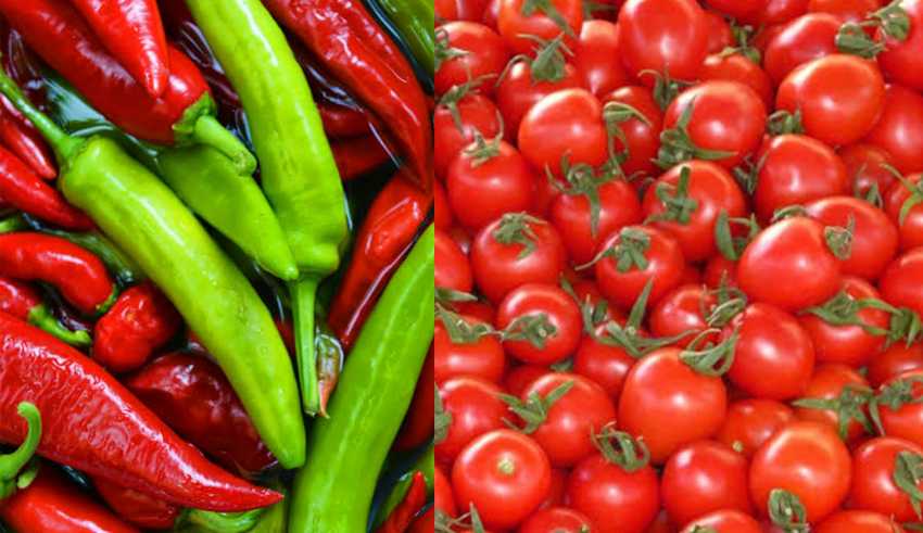The U.S. prohibits the passage of Mexican chili peppers and tomatoes