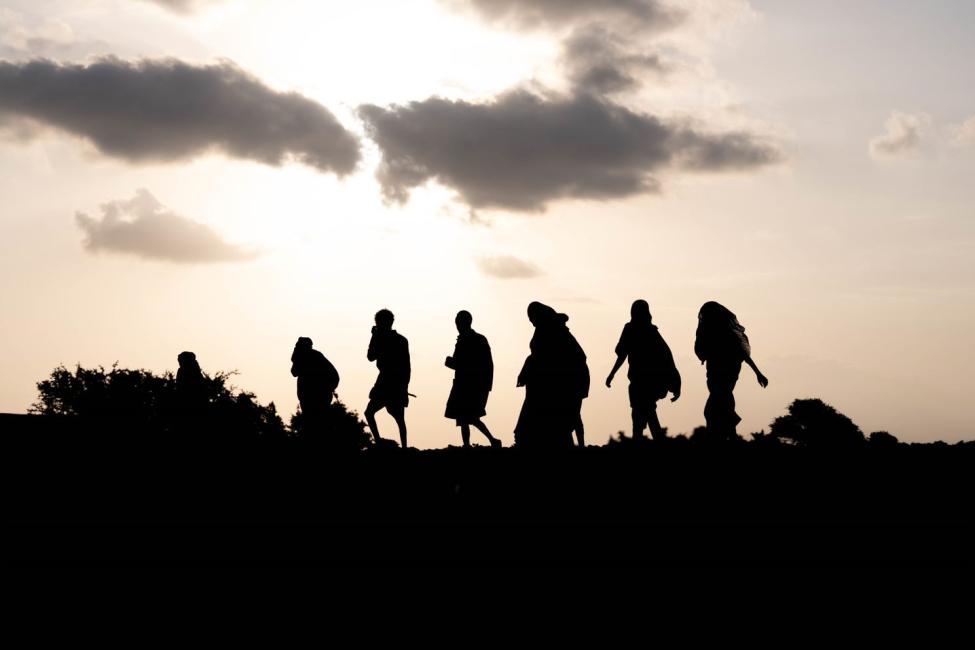 41 migrants detained in Laredo, 26 were hiding in a trailer