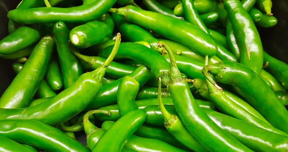 CBP anticipates more than 11,000 chile imports