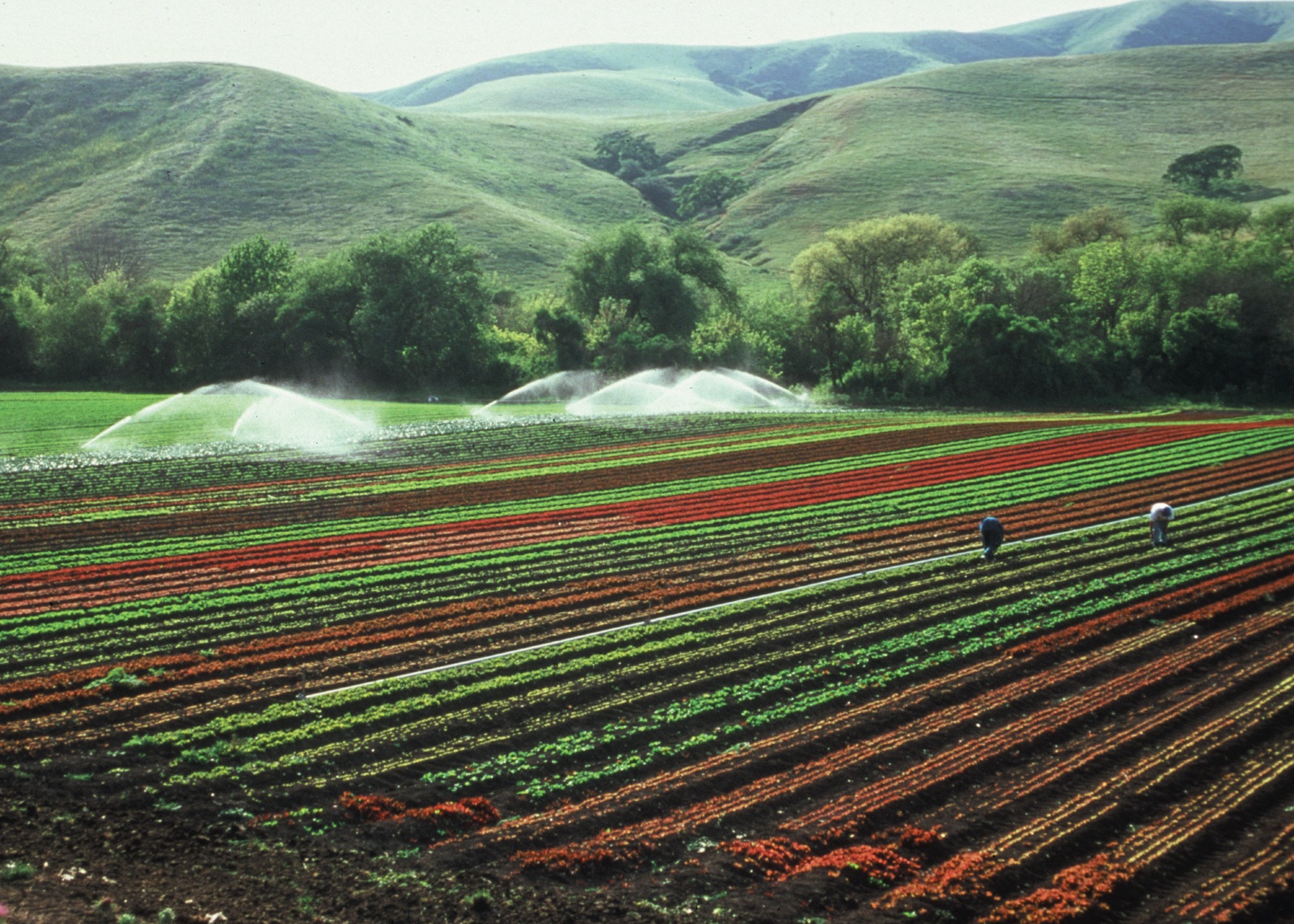 Farmland conservation funding expanded in Phoenix