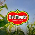 Del monte