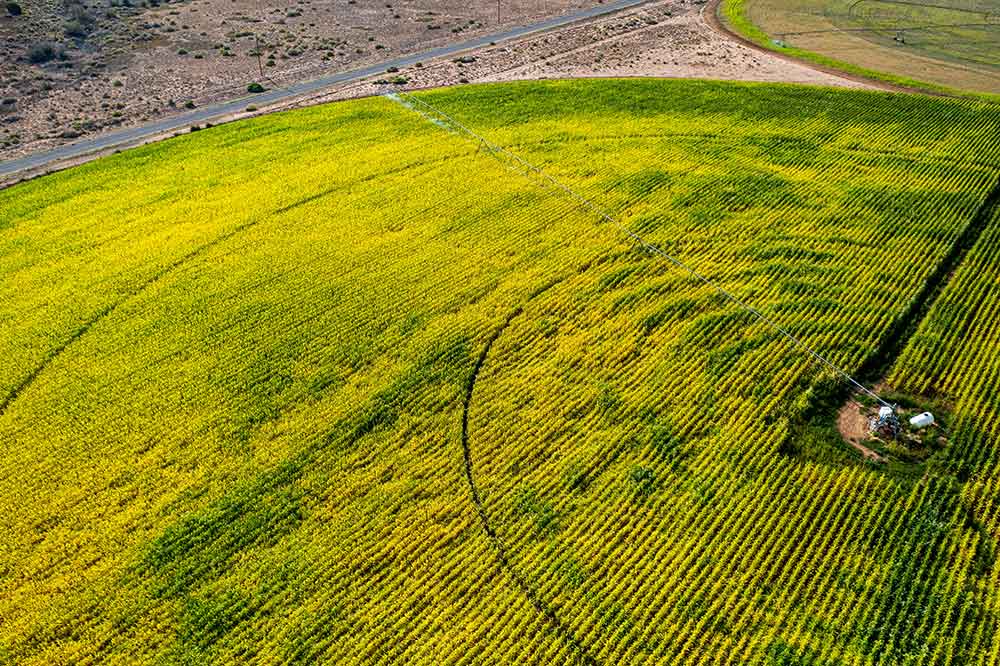 <strong>NMSU inaugurates two new state-of-the-art agricultural facilities</strong>