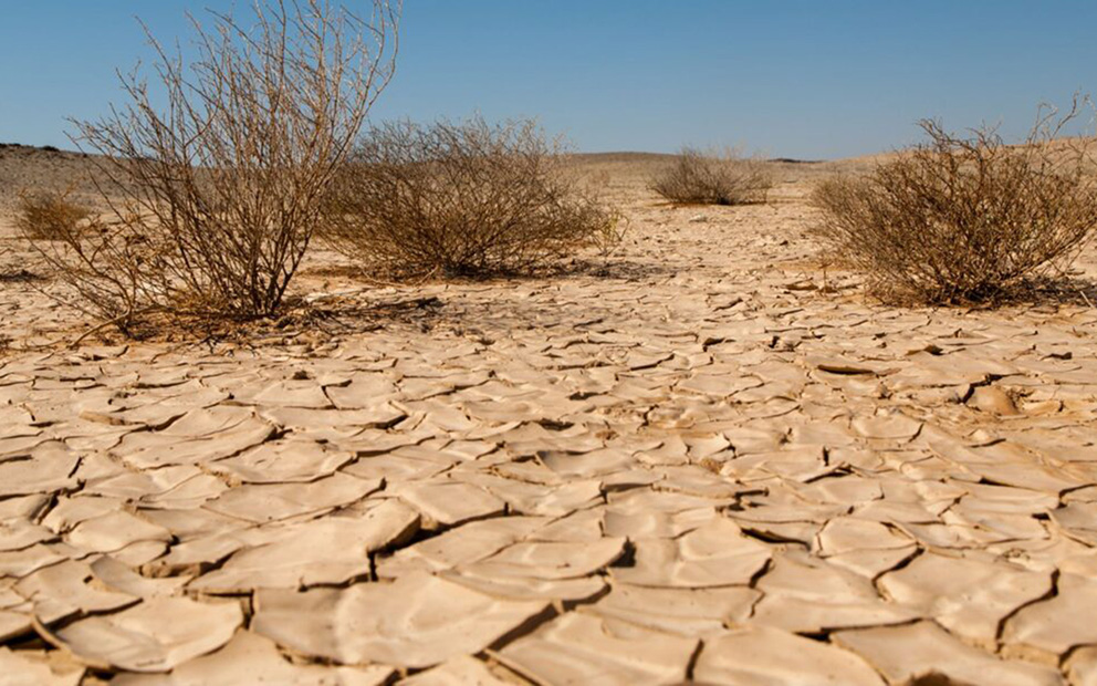 <strong>Chihuahua announces fund to fight drought and support local producers</strong>