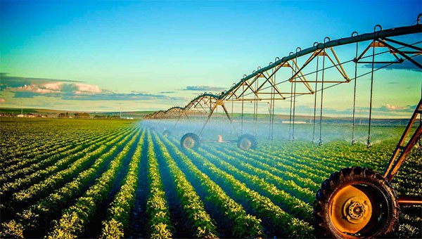 <strong>Coparmex seeks to promote Chihuahua companies in agribusinesses</strong>